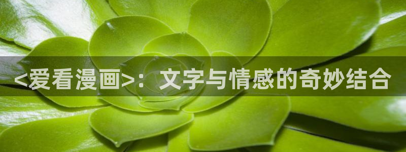 韩漫下拉式漫画免费阅读：<爱看漫画>：文字与情感的奇妙结合