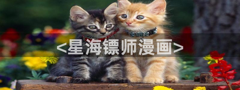 歪歪漫画入口韩漫：<星海镖师漫画>