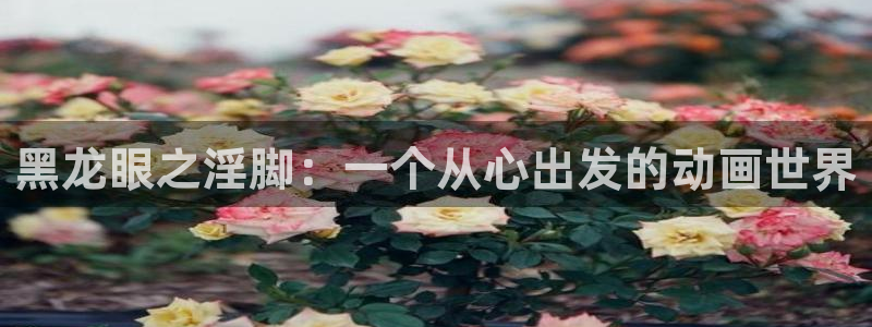 韩漫免费下拉式漫画免费：黑龙眼之淫脚：一个从心出发的动画世界