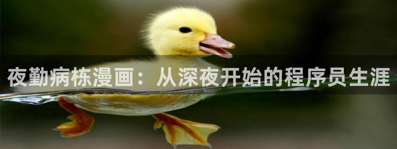 土豪漫画韩漫画：夜勤病栋漫画：从深夜开始的程序员生涯