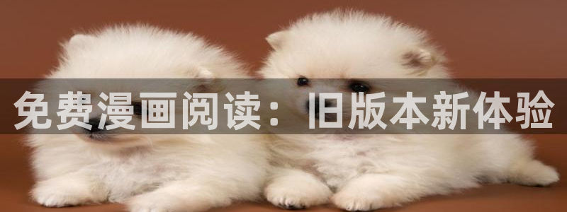 cc韩漫在线观看：免费漫画阅读：旧版本新体验