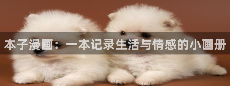 韩漫在线观看免：本子漫画：一本记录生活与情感的小画册